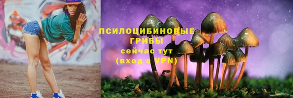 прущая мука Богданович