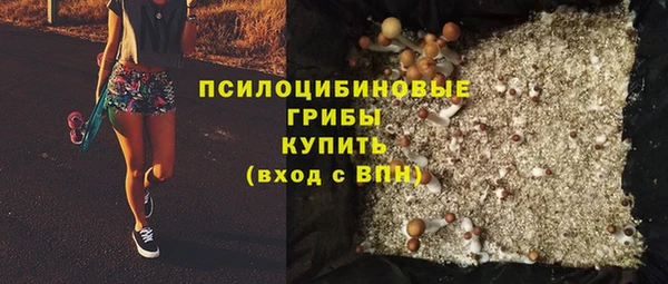 прущая мука Богданович