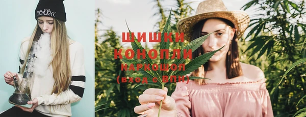 прущая мука Богданович