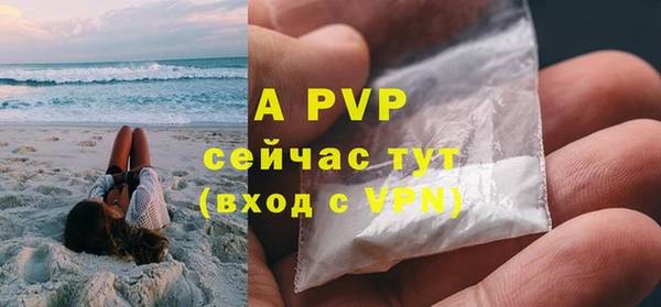 ECSTASY Богородск