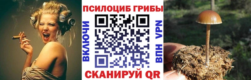 Галлюциногенные грибы Psilocybe Северская