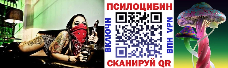 где купить KRAKEN рабочий сайт Галлюциногенные грибы Psilocybe Северская